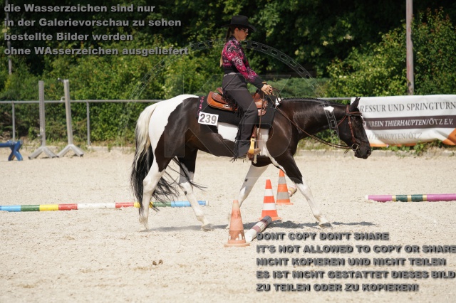 s_K3F02369.JPG